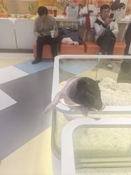 点击看大图 -meland亲子乐园•派对•研学(苏州悠方购物中心店)