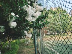 -杭州城北体育公园