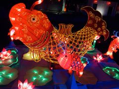 -横店影视城梦幻谷园区