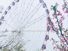 -自然谷恐龙园