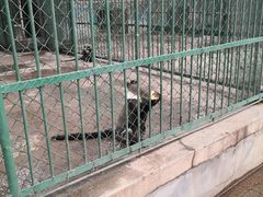 -秦皇岛野生动物园