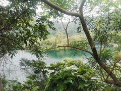 -鼎湖山风景区