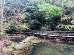 -宁海森林温泉