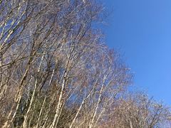 -叠溪松坪沟景区