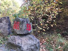 -天女山森林公园