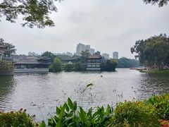 -荔湾湖公园