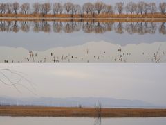 -野鸭湖国家湿地公园