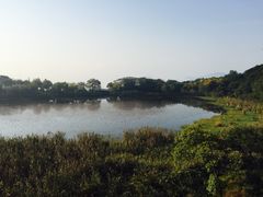 -上海市保健医疗中心(华东疗养院)