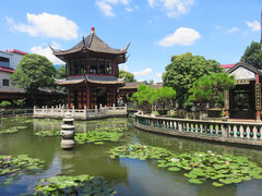 -碧江金楼