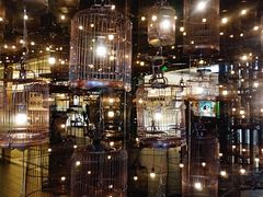 等位区-Vista黔城(新业广场店)