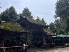 -青城山