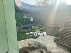 -南昌动物园