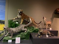 -天津自然博物馆