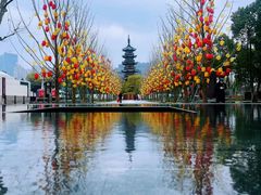 -龙华素斋(龙华路店)