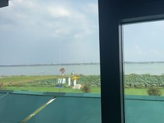 -七的湖·晚芳亭·阳澄湖农家菜·大闸蟹(莲花岛店)