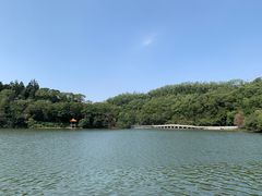 -深圳仙湖植物园