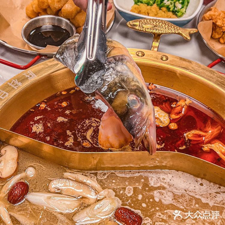 珠海这家鱼头火锅香晕我[流泪]大家都给我去吃‼️