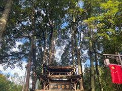 -青城山