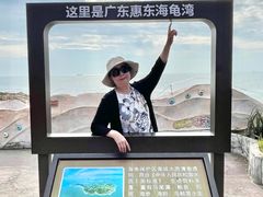 -广东惠东海龟国家级自然保护区