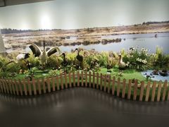 -松雷商业(南岗店)