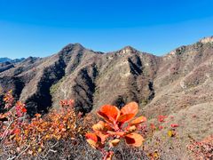 -相聚青山餐厅(阎河路店)