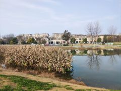 -两河城市森林公园