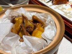 -大鸽饭(岗顶店)