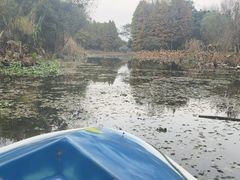 -溱湖国家湿地公园