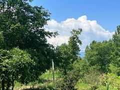 -泸沽湖国家级风景名胜区走婚桥