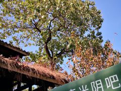 -舒羽咖啡(运河店)
