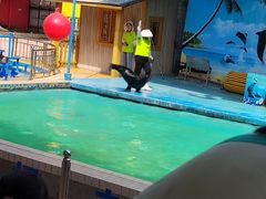 -荆州中山公园动物园