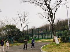 -羊山湖公园