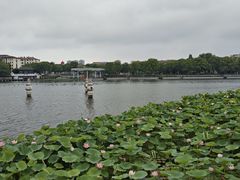 -葛仙湖公园