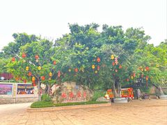 -湄洲岛