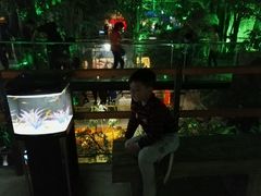 -洛阳龙门海洋馆