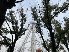 -上海野生动物园