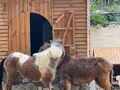 -HERRE·FARM 赫尔露营农场·团建聚会包场