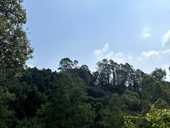 -火炉山森林公园