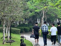 -厦门大学(思明校区)