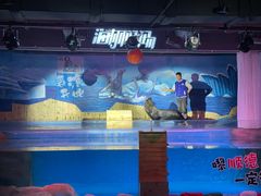 -顺德南宏海立方海洋公园