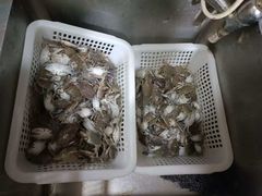 -南汇新城海滩