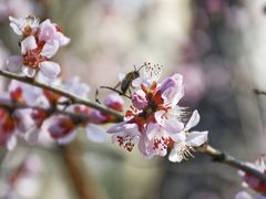 -清华东路西口(地铁站)