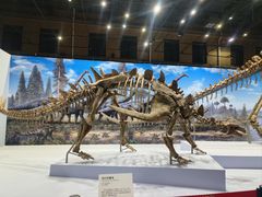 -国家自然博物馆