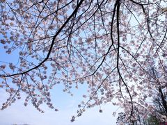 -共青国家森林公园-售票处