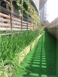 -可可天空农场(中大店)