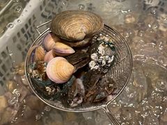 -安蒂娅·海鲜自助餐厅(安蒂娅美兰酒店)