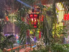 -九尊食上(生态园林酒店)