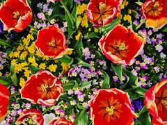 -上海浦江郊野公园·1号停车场