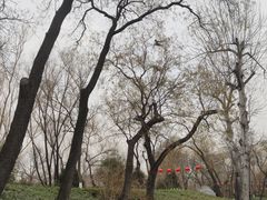 -莲湖公园
