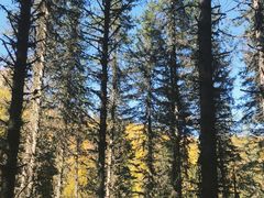 -硗碛藏寨·神木垒景区